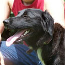 Jazmine was adopted in August, 2004